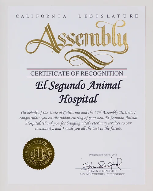 California Legislature Assembly Certificate of Recognition