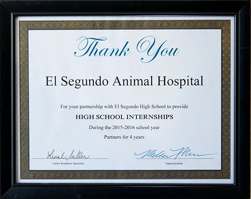 El Segundo Animal Hospital provides high school internships 2015-2016
