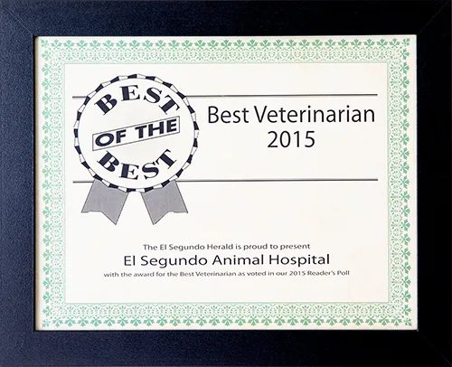 Best of the Best - Best Veterinarian 2015