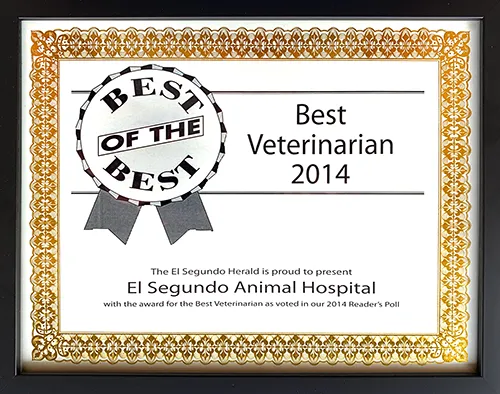 Best of the Best - Best Veterinarian 2014