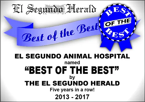 El Segundo Animal Hospital named Best of the Best by The El Segundo Herald 2013-2017