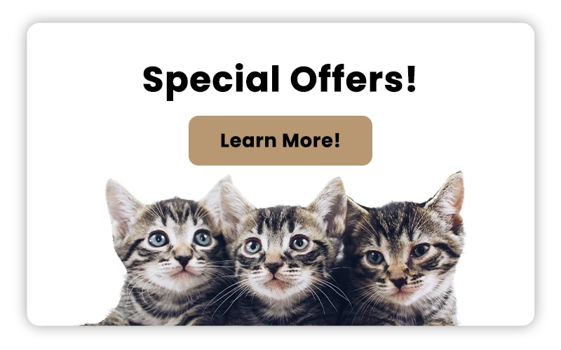 Special Offers! Learn More!
